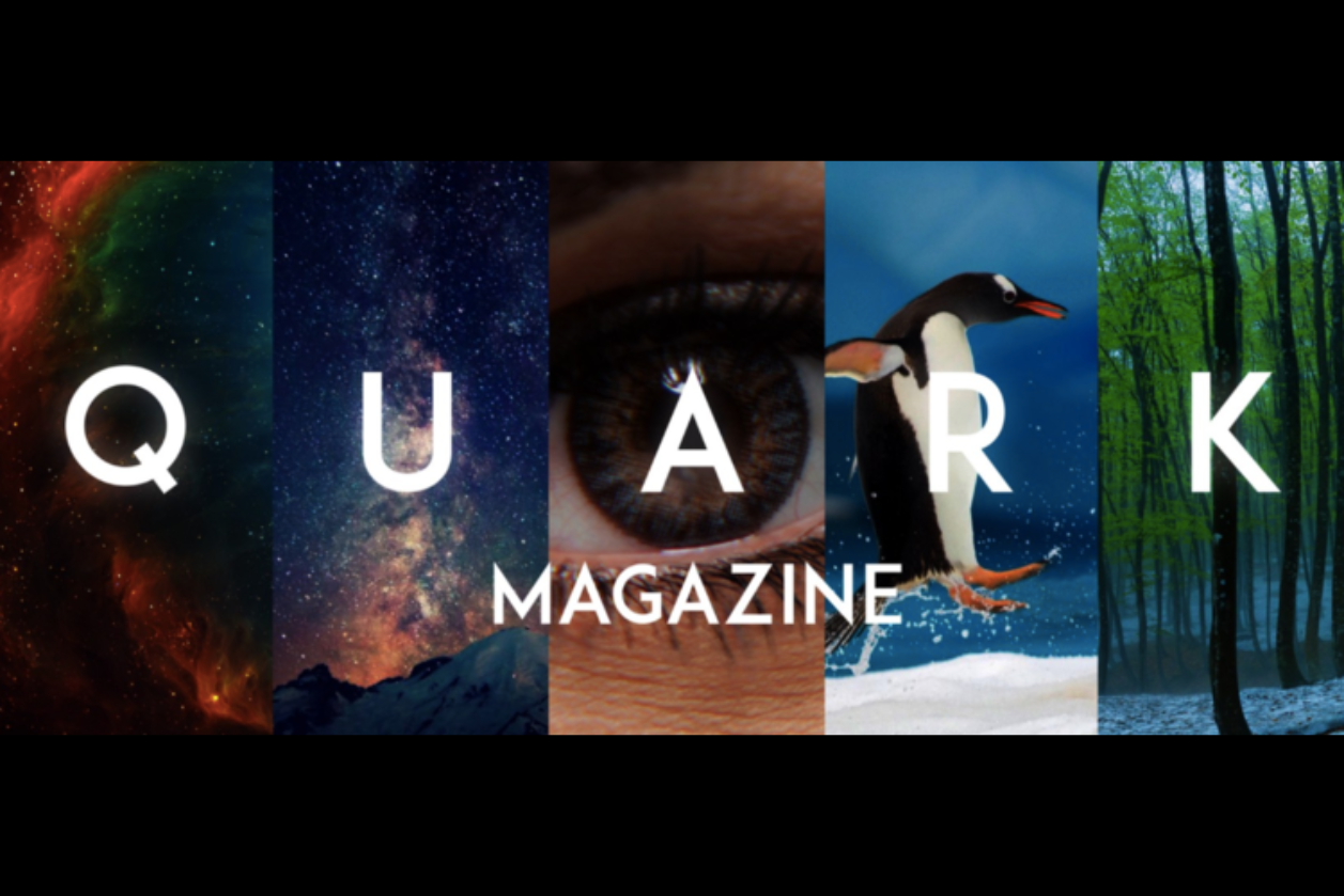 Collage featuring diverse elements such as space, an eye, a penguin, and a forest, integrated with the digital magazine text "QUARK MAGAZINE".